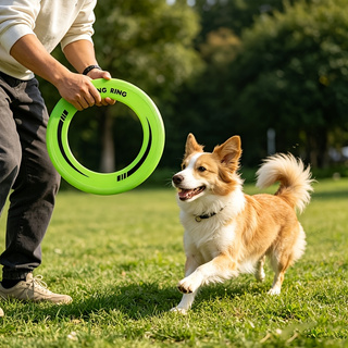 Frisbee Freestyle Disc - 1PC Durable Hollow Ring Frisbee Soft