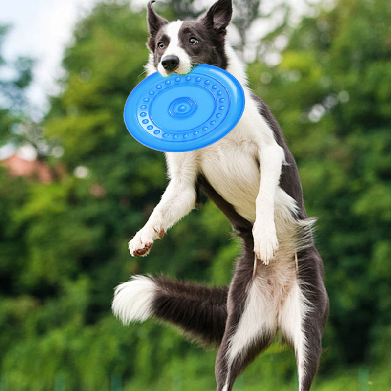 Frisbee Freestyle Disc - Durable Chewable Pet Training Frisbee Toy