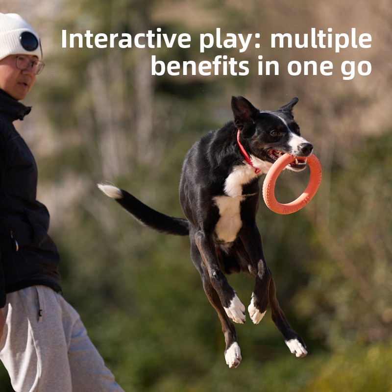 Bite-Resistant Soft Pull-Ring  - Frisbee Freestyle Disc 评论和价格