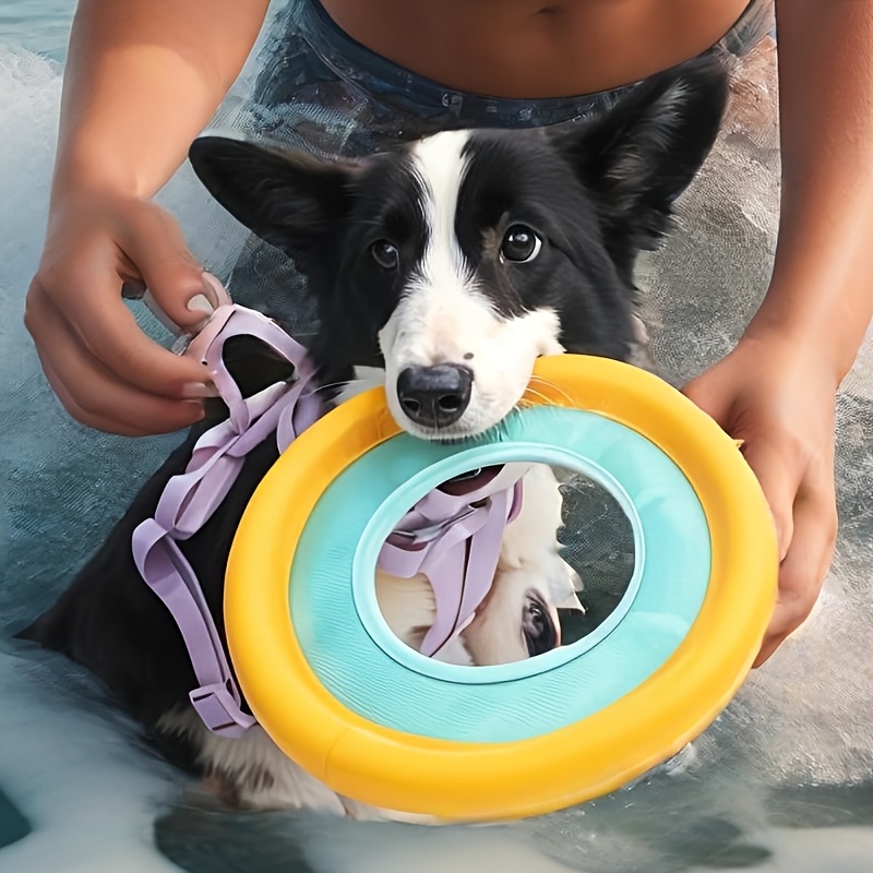 Floating Dog Frisbee, Outdoor  - Frisbee Freestyle Disc 评论和价格