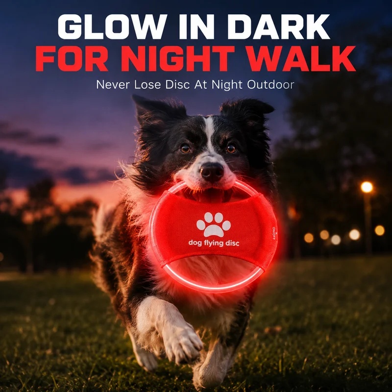 LED Glow Dog Flying Disc USB R - Frisbee Freestyle Disc 评论和价格