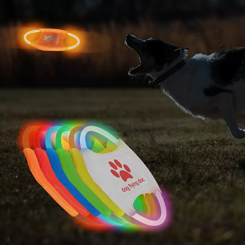LED Glow Dog Flying Disc USB R - Frisbee Freestyle Disc 评论和价格
