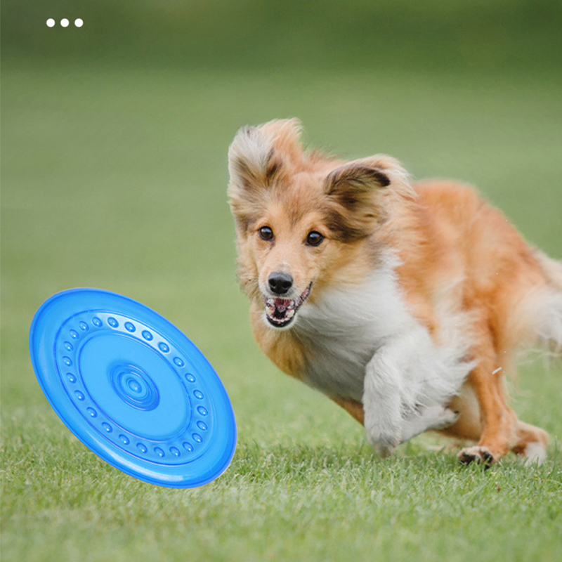 Durable Chewable Pet Training  - Frisbee Freestyle Disc 评论和价格